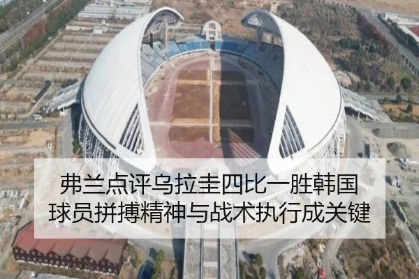 弗兰点评乌拉圭四比一胜韩国 球员拼搏精神与战术执行成关键 | HaoBo